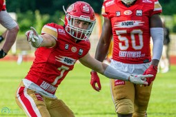 Week 9: Cougars in Düsseldorf gefordert